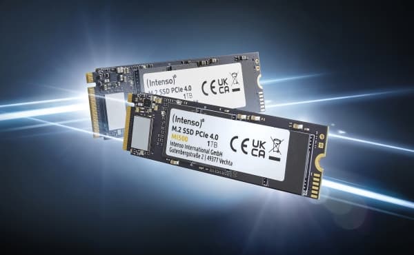Intenso MI500 - SSD - 500 GB - inbyggd - M.2 2280 - PCIe 4.0 x4 (NVMe)
