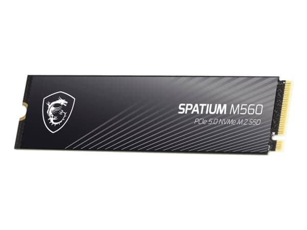 SSD MSI SPATIUM M560 PCIe 5,0 NVMe 1TB
