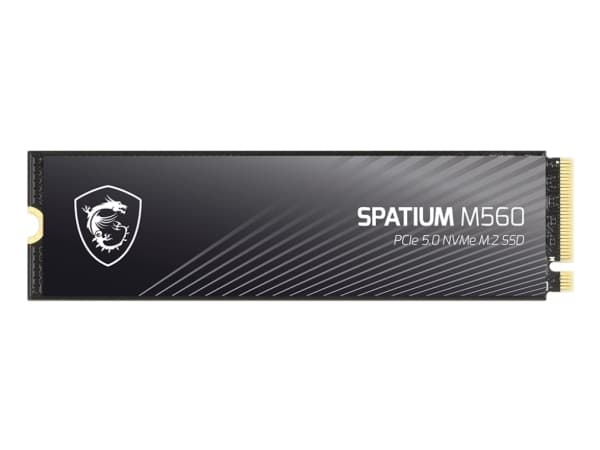 MSI SPATIUM M560 PCIE 5.0 NVME M.2, 2 GB, M.2