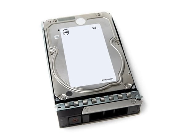 Dell - Kundkit - hårddisk - 4 TB - 512n - intern - 3,5" - SAS 12Gb/s - 7200 rpm