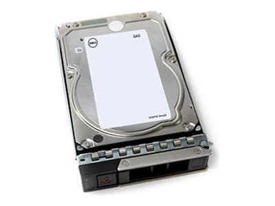 Dell - Kundkit - hårddisk - 4 TB - 512n - intern - 3,5" - SAS 12Gb/s - 7200 rpm