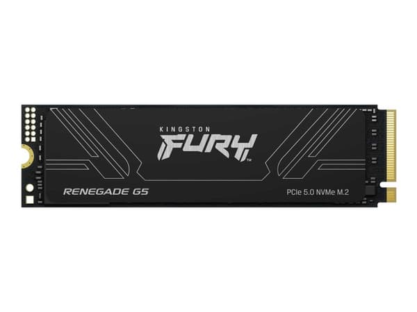 Kingston Technology FURY Renegade G5, 1,02 TB, M.2, 14200 MB/s