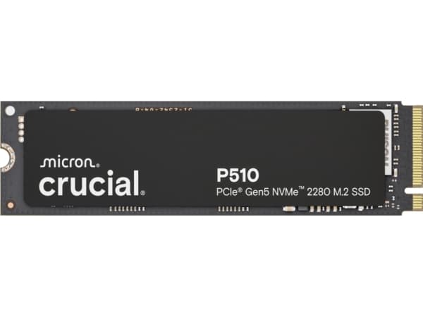 Avgjørende? P510 1TB PCIe Gen5 NVMe 2280 M.2 SSD NVMe M.2