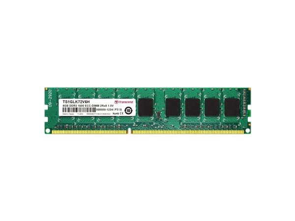 Transcend - DDR3 - modul - 8 GB - DIMM 240-pin - 1600 MHz / PC3-12800 - CL11 - 1.5 V - ikke-bufret - ECC