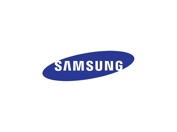 Samsung - DDR4 - modul - 8 GB - DIMM 288-pin - 2400 MHz / PC4-19200 - CL17 - 1.2 V - ikke-bufret - ikke-ECC