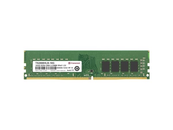 Transcend - DDR4 - modul - 16 GB - DIMM 288-pin - 2666 MHz / PC4-21300 - CL19 - 1.2 V - ikke-bufret - ikke-ECC