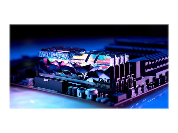 G.Skill Trident Z Royal Elite - DDR4 - sett - 64 GB: 4 x 16 GB - DIMM 288-pin - 1800 MHz / PC4-28800 - CL16 - 1.35 V - ikke-bufret - ikke-ECC - sølv