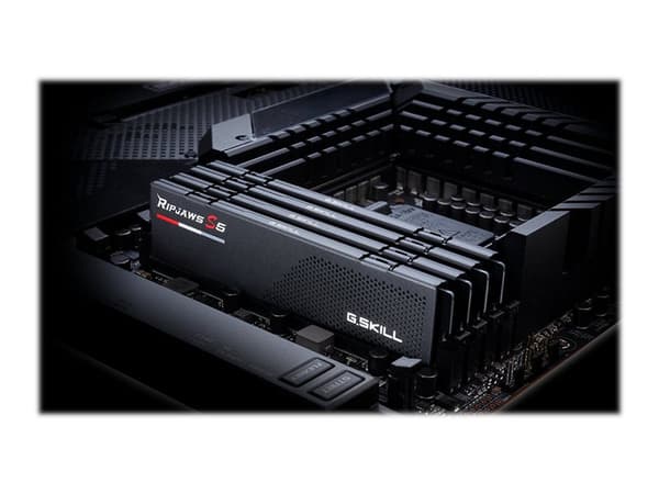 G.Skill Ripjaws S5 - DDR5 - sett - 32 GB: 2 x 16 GB - DIMM 288-pin - 2800 MHz / PC5-44800 - CL40 - 1.2 V - ikke-bufret - ikke-ECC - matt svart