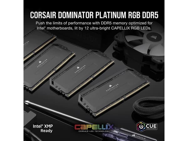 CORSAIR Dominator Platinum RGB - DDR5 - sett - 64 GB: 2 x 32 GB - DIMM 288-pin - 5600 MHz / PC5-44800 - CL40 - 1.25 V - svart