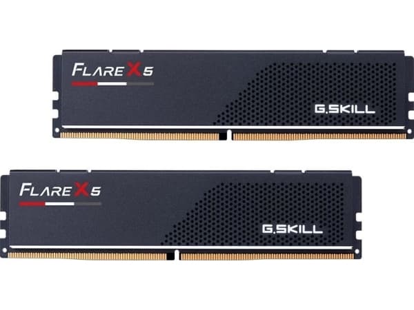 G.Skill Flare X5 - DDR5 - sats - 32 GB: 2 x 16 GB - DIMM 288-pin låg - 3000 MHz / PC5-48000 - CL32 - 1.35 V - ej buffrad - icke ECC - mattsvart