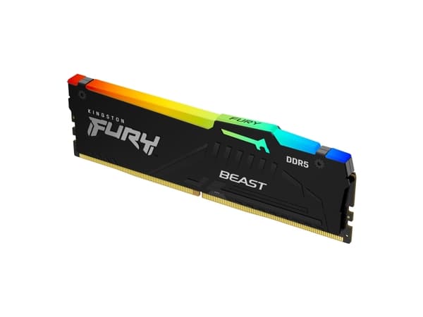 Kingston FURY Beast RGB - DDR5 - modul - 16 GB - DIMM 288-pin - 2600 MHz / PC5-41600 - CL36 - 1.25 V - ikke-bufret - on-die ECC - svart
