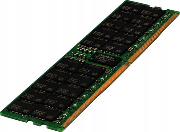 HPE SmartMemory - DDR5 - modul - 64 GB - DIMM 288-pin - 4800 MHz / PC5-38400 - CL40 - registrerad - för ProLiant DL325 Gen11, DL345 Gen11, DL385 Gen1