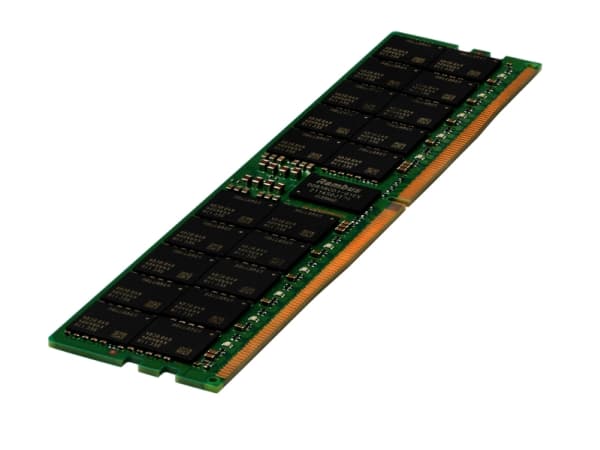 HPE SmartMemory - DDR5 - modul - 64 GB - DIMM 288-pin - 4800 MHz / PC5-38400 - CL40 - registrerad - för ProLiant DL325 Gen11, DL345 Gen11, DL385 Gen1