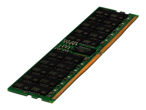 HPE SmartMemory - DDR5 - modul - 64 GB - DIMM 288-pin - 4800 MHz / PC5-38400 - CL40 - registrerad - för ProLiant DL325 Gen11, DL345 Gen11, DL385 Gen1