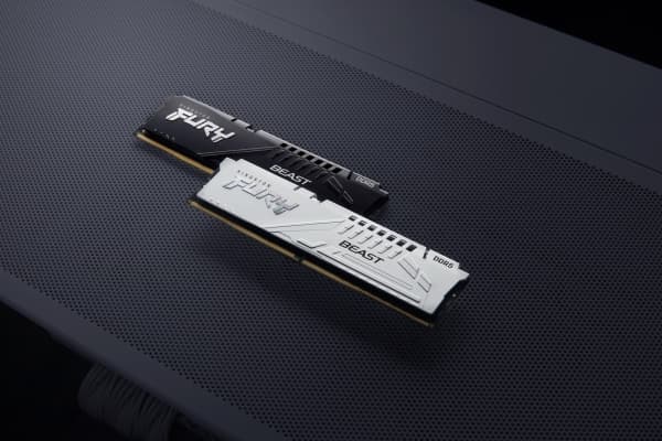 Kingston FURY Beast - DDR5 - sett - 32 GB: 2 x 16 GB - DIMM 288-pin - 2600 MHz / PC5-41600 - CL36 - 1.25 V - ikke-bufret - on-die ECC - hvit