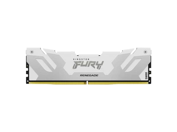 Kingston FURY Renegade - DDR5 - modul - 16 GB - DIMM 288-pin - 3600 MHz / PC5-57600 - CL38 - 1.45 V - on-die ECC - vit