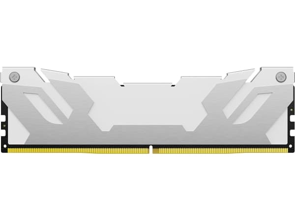 Kingston FURY Renegade - DDR5 - sats - 32 GB: 2 x 16 GB - DIMM 288-pin - 3200 MHz / PC5-51200 - CL32 - 1.4 V - ej buffrad - on-die ECC - vit/silver
