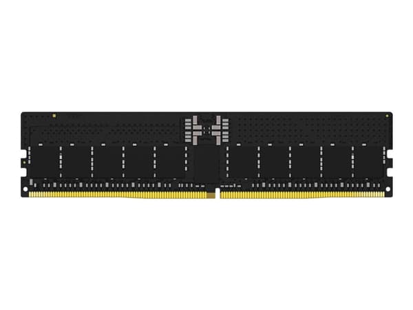Kingston FURY Renegade Pro - DDR5 - modul - 32 GB - DIMM 288-pin - 5600 MHz / PC5-44800 - CL36 - 1.25 V - registrert - on-die ECC - svart