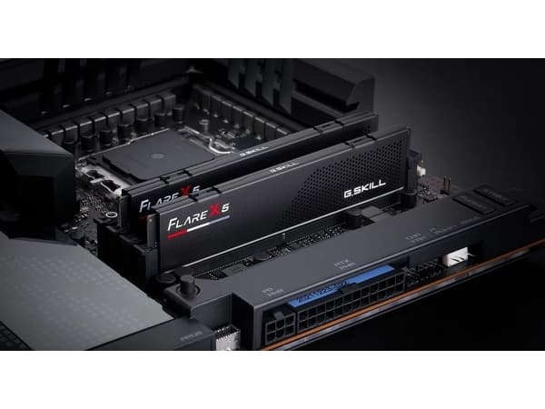 G.Skill Flare X5 - DDR5 - sett - 64 GB: 2 x 32 GB - DIMM 288-pin lav profil - 3000 MHz / PC5-24000 - CL30 - 1.4 V - ikke-bufret - on-die ECC - matt s