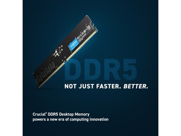 Crucial - DDR5 - sats - 16 GB: 2 x 8 GB - DIMM 288-pin - 5200 MHz / PC5-41600 - CL42 - 1.1 V - ej buffrad - on-die ECC - svart