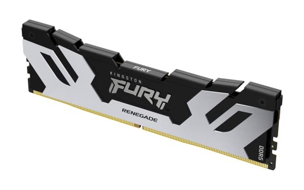 Kingston FURY Renegade - DDR5 - modul - 48 GB - DIMM 288-pin - 3000 MHz / PC5-48000 - CL32 - 1.35 V - ikke-bufret - on-die ECC - sølv/svart