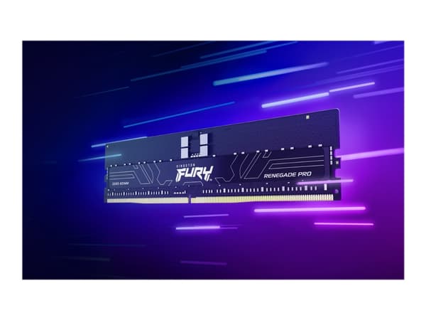 Kingston FURY Renegade Pro - DDR5 - sett - 256 GB: 8 x 32 GB - DIMM 288-pin - 5600 MHz / PC5-44800 - CL36 - 1.25 V - registrert - on-die ECC