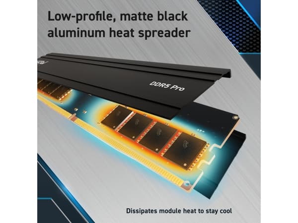 Crucial - DDR5 - sats - 64 GB: 2 x 32 GB - DIMM 288-pin - 5600 MHz / PC5-44800 - CL46 - 1.1 V - ej buffrad - on-die ECC - svart
