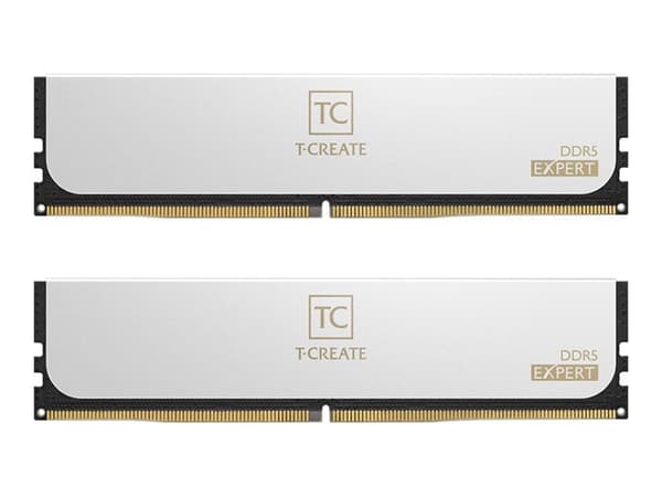 T-CREATE EXPERT - DDR5 - sett - 93 GB: 2 x 48 GB - DIMM 288-pin - 3400 MHz / PC5-54400 - CL36 - 1.4 V - ikke-bufret - on-die ECC - hvit