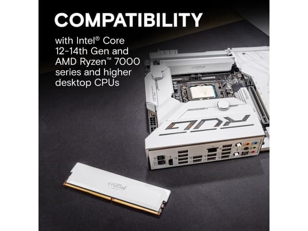 Crucial Pro - Overclocking Edition - DDR5 - modul - 16 GB - DIMM 288-pin - 6000 MHz / PC5-48000 - CL36 - 1.35 V - ikke-bufret - hvit