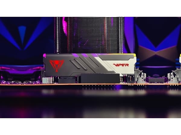 Patriot Viper Venom RGB series - DDR5 - sats - 64 GB: 2 x 32 GB - DIMM 288-pin - 3000 MHz / PC5-48000 - CL30 - 1.35 V - ej buffrad - on-die ECC - mat