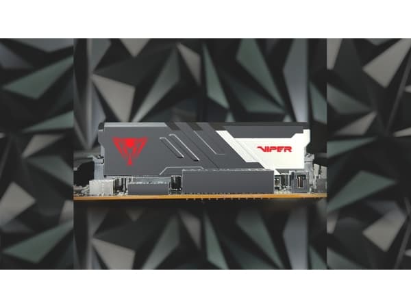 Patriot Viper Venom RGB series - DDR5 - sats - 64 GB: 2 x 32 GB - DIMM 288-pin - 3000 MHz / PC5-48000 - CL30 - 1.35 V - ej buffrad - on-die ECC - mat