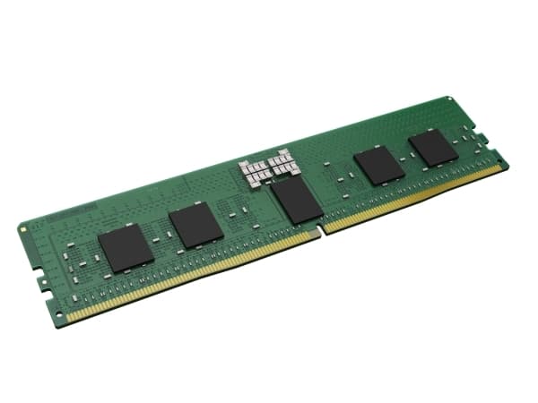 Kingston - DDR5 - modul - 16 GB - DIMM 288-pin - 5600 MHz / PC5-44800 - CL46 - 1.1 V - registrert - ECC