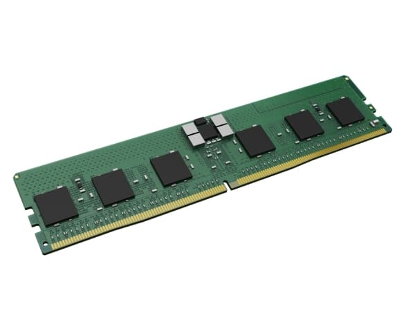 Kingston - DDR5 - modul - 16 GB - DIMM 288-pin - 5600 MHz / PC5-44800 - CL46 - 1.1 V - registrert - ECC