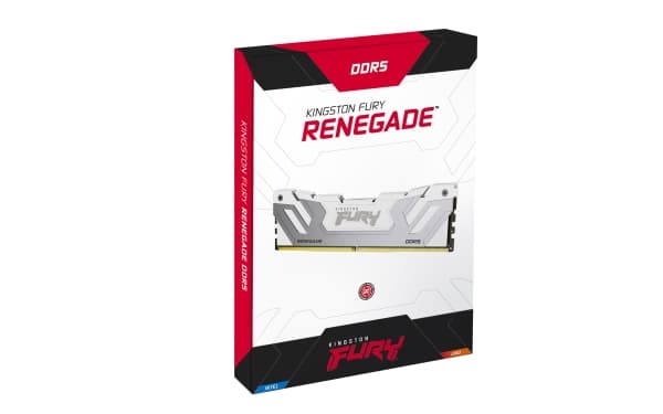 Kingston FURY Renegade - DDR5 - modul - 24 GB - DIMM 288-pin - 4200 MHz / PC5-67200 - CL40 - 1.45 V - ej buffrad - on-die ECC - vit, silver