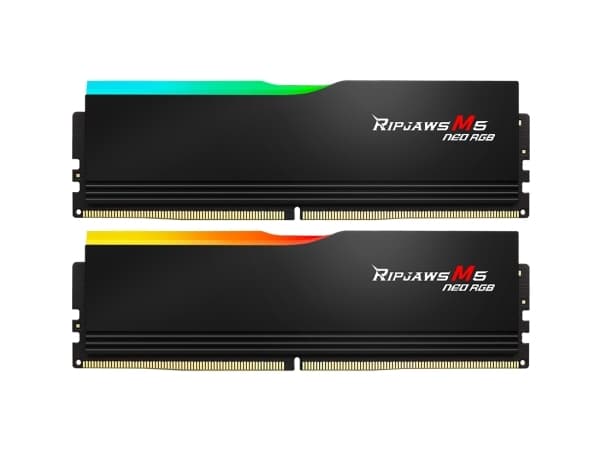 G.Skill Ripjaws M5 Neo RGB - DDR5 - sats - 64 GB: 2 x 32 GB - DIMM 288-pin - 1500 MHz / PC5-48000 - CL36 - 1.35 V - ej buffrad - on-die ECC - mattsva