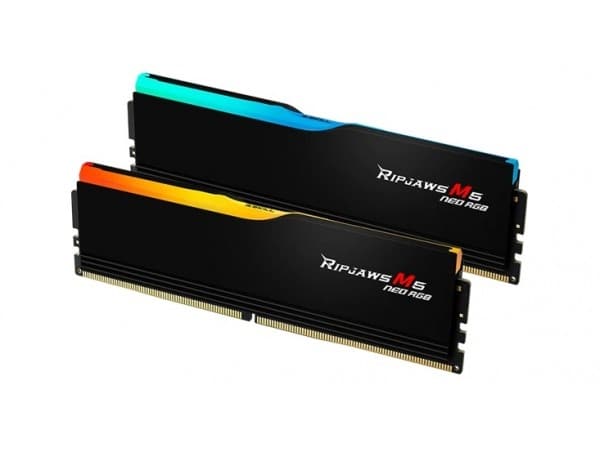 DIMM 32 GB DDR5-6000 (2x 16 GB) dobbeltsett (svart, F5-6000J3038F16GX2-RM5NRK, Ripjaws M5 Neo, INTEL XMP, AMD EXPO)