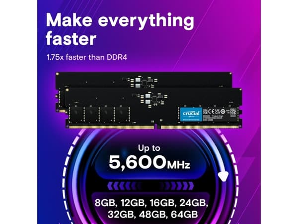 Crucial - DDR5 - moduuli - 64 Gt - DIMM 288-PIN - 2800 MHz / PC5-44800 - CL46 - 1,1 V - puskuroimaton - on-die ECC - musta