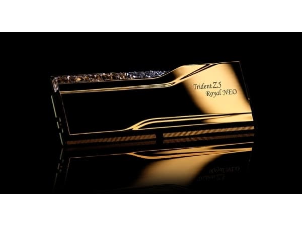 G.Skill Trident Z5 Royal Neo F5-6000J2836F24GX2-TR5NG, 48 GB, 2 x 24 GB, DDR5, 288-pin DIMM, Guld
