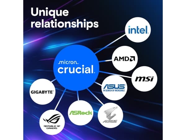 Crucial Pro - DDR5 - sett - 128 GB: 2 x 64 GB - DIMM 288-pin - 2800 MHz / PC5-44800 - CL46 - 1.1 V - ikke-bufret - on-die ECC - svart