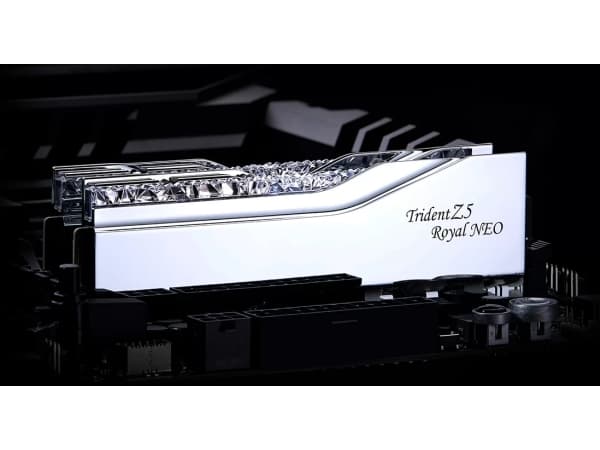 G.Skill Trident Z5 Royal Neo F5-6000J2836F24GX2-TR5NS, 48 GB, 2 x 24 GB, DDR5, 288-pin DIMM, Silver