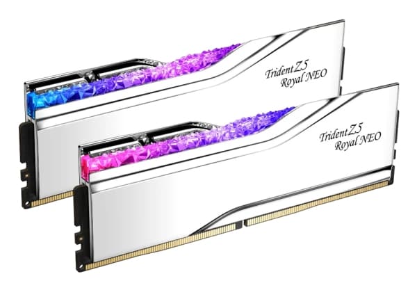 G.Skill Trident Z5 Royal Neo F5-6000J2836F24GX2-TR5NS, 48 GB, 2 x 24 GB, DDR5, 288-pin DIMM, Silver