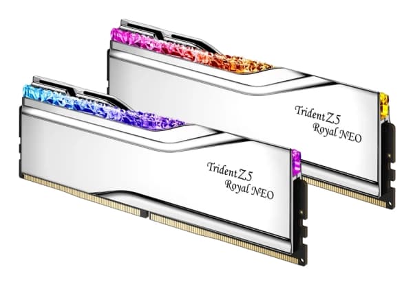 G.Skill Trident Z5 Royal Neo F5-6000J2836F24GX2-TR5NS, 48 GB, 2 x 24 GB, DDR5, 288-pin DIMM, Silver