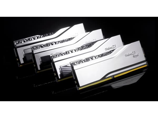G.Skill Trident Z5 Royal F5-6000J3036F48GX2-TR5S, 96 GB, 2 x 48 GB, DDR5