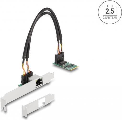 Delock Converter M.2 Key B+M 1 x RJ45 2,5 Gigabit LAN (95272)