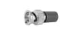 Miniatyrbillede 1 af 2: Telegärtner BNC termineringsmodstand J01006A1269 75 Ohm, 0,5 W termineringsmodstand 4018359106447