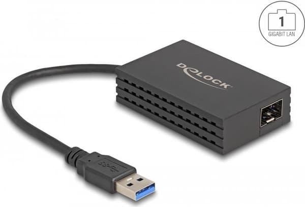 DeLOCK 66463 netværkskort fiber 1000 Mbit/s (66463) Sort