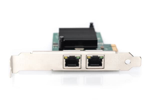 Digitus