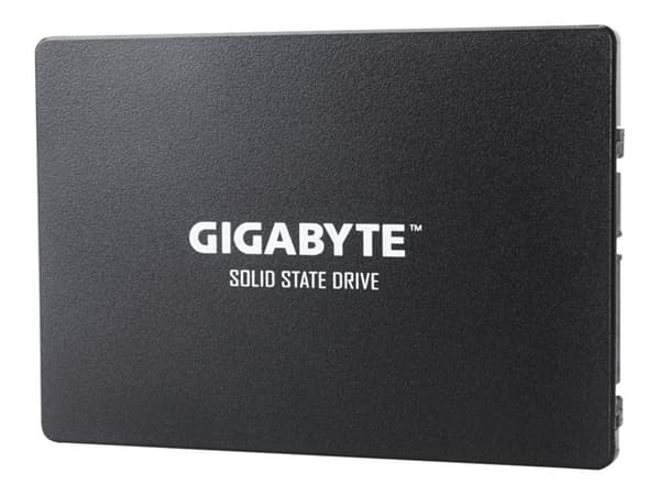 Gigabyte GP-GSTFS31256GTND SSD-hårddisk 2.5" 256 GB Serial ATA III V-NAND