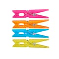 Miniatyrbild 2 av 4: Klädnypor Multicolour Plast 24 Delar Set (24 antal)
