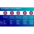 Miniatyrbild 5 av 5: PHILIPS Iron Series 5000 DST5040/80, 2600W, Pressning 200g/min, Kontinuerlig ånga 45g, Svart